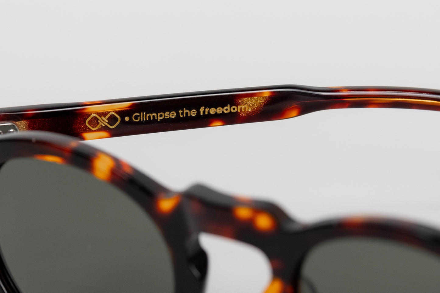 Gefäß Schildkröte Grün