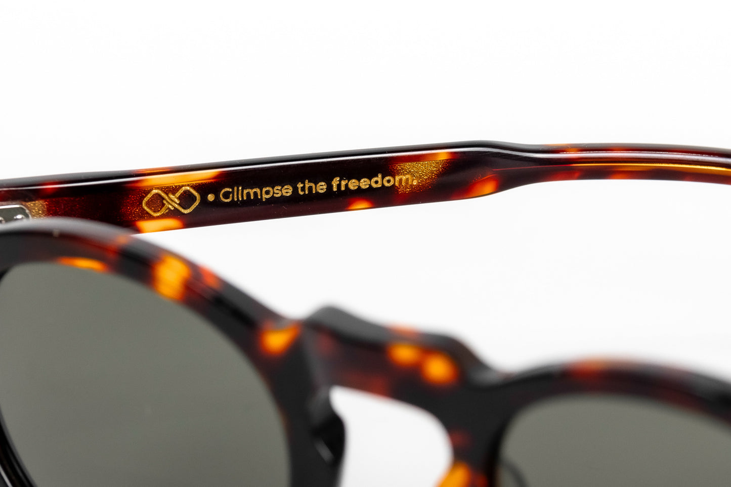 Gefäß Schildkröte Grün